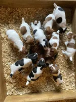 processed/9433500d-bf2f-4f40-a080-aca76ca87981/facility/badaf2ee-4b45-4f13-a7c9-992e91cfc067