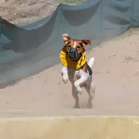 processed/9433500d-bf2f-4f40-a080-aca76ca87981/facility/d25fd421-d4b4-4a80-af0b-dcec631def82