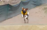 processed/9433500d-bf2f-4f40-a080-aca76ca87981/facility/d25fd421-d4b4-4a80-af0b-dcec631def82