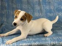 processed/9433500d-bf2f-4f40-a080-aca76ca87981/listing/128ebc78-703c-48c7-9b7e-300313329693/42ccfa25-25a7-4465-a8ab-1e2f6838cc8f