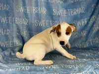 processed/9433500d-bf2f-4f40-a080-aca76ca87981/listing/128ebc78-703c-48c7-9b7e-300313329693/53f6336d-bd3b-4442-8a24-ef1db0329dcc