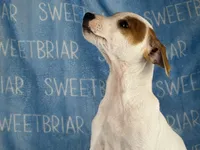 processed/9433500d-bf2f-4f40-a080-aca76ca87981/listing/128ebc78-703c-48c7-9b7e-300313329693/676a6e71-77a1-49e7-afa8-dca8bedc16f0