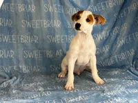 processed/9433500d-bf2f-4f40-a080-aca76ca87981/listing/128ebc78-703c-48c7-9b7e-300313329693/84a823c2-daae-419d-aa60-a6572d53eb65