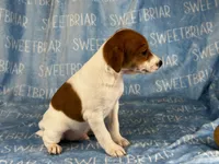 processed/9433500d-bf2f-4f40-a080-aca76ca87981/listing/15a60de9-ffbd-409c-b9ca-30341d94eec0/126c70b9-e36b-4d43-90e4-90774e677c64