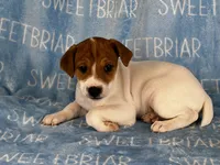 processed/9433500d-bf2f-4f40-a080-aca76ca87981/listing/15a60de9-ffbd-409c-b9ca-30341d94eec0/5b988972-2d41-4e4c-9b95-ed25b44213a8