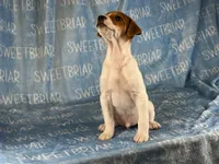 processed/9433500d-bf2f-4f40-a080-aca76ca87981/listing/15a60de9-ffbd-409c-b9ca-30341d94eec0/6bae3aa6-0f58-49db-ba6f-2703a9950250