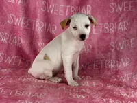 processed/9433500d-bf2f-4f40-a080-aca76ca87981/listing/307b856b-fa4e-431e-b63d-e2e5495b3b31/1e9003d2-4856-49e9-a303-7c72617284c1