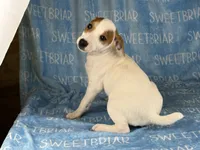 processed/9433500d-bf2f-4f40-a080-aca76ca87981/listing/394e9f3a-8c7a-43af-938e-2c3cd00f671b/40ba9e7b-df3f-47eb-9888-0ea6576ceac8