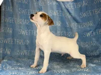 processed/9433500d-bf2f-4f40-a080-aca76ca87981/listing/394e9f3a-8c7a-43af-938e-2c3cd00f671b/47bce5b0-bf52-469c-ae94-72e948533334