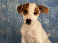 processed/9433500d-bf2f-4f40-a080-aca76ca87981/listing/394e9f3a-8c7a-43af-938e-2c3cd00f671b/67f2dee0-d7e2-4992-b411-7b0cb72192f5