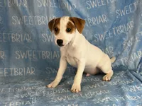 processed/9433500d-bf2f-4f40-a080-aca76ca87981/listing/394e9f3a-8c7a-43af-938e-2c3cd00f671b/7ade0af5-9f89-4f1a-bf90-1268fe374ea6