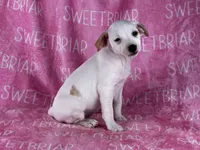 processed/9433500d-bf2f-4f40-a080-aca76ca87981/listing/807c8fe5-438f-4c8b-8ff3-d955f5c5d490/1e1cd590-d0e8-431c-b797-b6fdcbc15ff0