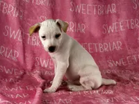 processed/9433500d-bf2f-4f40-a080-aca76ca87981/listing/807c8fe5-438f-4c8b-8ff3-d955f5c5d490/42414d11-f9e6-45d0-b5da-027a5654d996