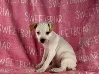 processed/9433500d-bf2f-4f40-a080-aca76ca87981/listing/807c8fe5-438f-4c8b-8ff3-d955f5c5d490/58e175d2-0e16-4a1f-8ca4-47efb7413335