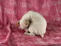 processed/9433500d-bf2f-4f40-a080-aca76ca87981/listing/807c8fe5-438f-4c8b-8ff3-d955f5c5d490/7c4df271-06cb-43f8-b6a7-6694b4523f54