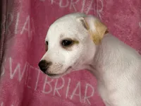 processed/9433500d-bf2f-4f40-a080-aca76ca87981/listing/807c8fe5-438f-4c8b-8ff3-d955f5c5d490/e1f46472-614a-4067-bec6-0f1bc5bb3f5c