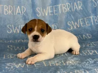 processed/9433500d-bf2f-4f40-a080-aca76ca87981/listing/a60c143e-cb9a-4f62-bf2b-382413a1fd6a/1e5058bb-f252-4207-808c-41137f7a1fc7