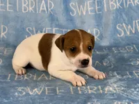 processed/9433500d-bf2f-4f40-a080-aca76ca87981/listing/a60c143e-cb9a-4f62-bf2b-382413a1fd6a/1e6a99da-e250-4429-a2e4-53c5e171c657