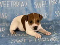 processed/9433500d-bf2f-4f40-a080-aca76ca87981/listing/a60c143e-cb9a-4f62-bf2b-382413a1fd6a/71105dbe-1349-43a8-a0c0-bfe32add41e9