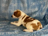 processed/9433500d-bf2f-4f40-a080-aca76ca87981/listing/a9c0ce30-5f02-4971-862c-5b2d297de0a4/0a1cea55-88bd-4f0a-95a8-8e44e46ebbb6