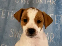 processed/9433500d-bf2f-4f40-a080-aca76ca87981/listing/a9c0ce30-5f02-4971-862c-5b2d297de0a4/7ff85d8d-d220-4e11-85e2-bf9184c12c18