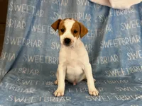 processed/9433500d-bf2f-4f40-a080-aca76ca87981/listing/a9c0ce30-5f02-4971-862c-5b2d297de0a4/ed96a01e-abb3-4e12-959c-b654e6464844