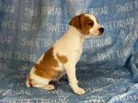 processed/9433500d-bf2f-4f40-a080-aca76ca87981/listing/a9c0ce30-5f02-4971-862c-5b2d297de0a4/f27257e4-c7f6-4e63-b910-feddd96e53a1