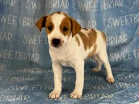 processed/9433500d-bf2f-4f40-a080-aca76ca87981/listing/a9c0ce30-5f02-4971-862c-5b2d297de0a4/ff10478f-4bd5-4f9a-a511-d7dc6e29e5bc