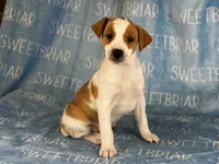 processed/9433500d-bf2f-4f40-a080-aca76ca87981/listing/aa630dbe-5e0c-46ba-9367-f888793a02a6/ef14de3a-fd8e-4d01-81f8-2affae394de8