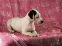 processed/9433500d-bf2f-4f40-a080-aca76ca87981/listing/aa8808f0-2d17-41de-81b3-efca1ce3e89d/30b23f48-d37c-4857-8fb9-6e7fe81e7b85