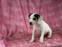 processed/9433500d-bf2f-4f40-a080-aca76ca87981/listing/aa8808f0-2d17-41de-81b3-efca1ce3e89d/7f20fdd1-5e5a-4dc6-b2a2-ecbae6702ada