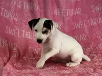 processed/9433500d-bf2f-4f40-a080-aca76ca87981/listing/aa8808f0-2d17-41de-81b3-efca1ce3e89d/8edb3045-6ffd-4637-a8f6-ac9416c9830f