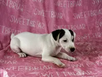 processed/9433500d-bf2f-4f40-a080-aca76ca87981/listing/aa8808f0-2d17-41de-81b3-efca1ce3e89d/9573bcf3-02a7-4592-96d3-0fb55adaa324