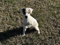 processed/9433500d-bf2f-4f40-a080-aca76ca87981/listing/be2d0a12-d0e4-4bf9-9e89-db7955d21546/18c9d8d2-ca59-4c78-b770-b45abc790aae