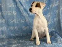 processed/9433500d-bf2f-4f40-a080-aca76ca87981/listing/be2d0a12-d0e4-4bf9-9e89-db7955d21546/4a3ab9a0-3688-49fb-96e2-f57543c6e3b4