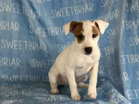 processed/9433500d-bf2f-4f40-a080-aca76ca87981/listing/be2d0a12-d0e4-4bf9-9e89-db7955d21546/a1e85875-7d78-4a8f-ab54-1619ce4856a2