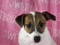 processed/9433500d-bf2f-4f40-a080-aca76ca87981/listing/dd8d41de-b00a-4ae7-93d8-41a34d128b4c/44df2503-f7f7-402c-afee-6298f9c0fa08