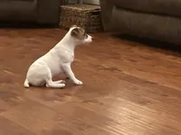 processed/9433500d-bf2f-4f40-a080-aca76ca87981/listing/dd8d41de-b00a-4ae7-93d8-41a34d128b4c/58cd01dd-7c08-436c-8d1b-5c506ebe0f6d