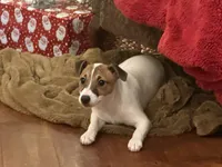 processed/9433500d-bf2f-4f40-a080-aca76ca87981/listing/dd8d41de-b00a-4ae7-93d8-41a34d128b4c/6c2b68bf-c223-4a0f-b40c-a76cf30a5818