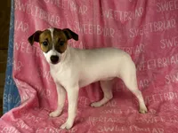 processed/9433500d-bf2f-4f40-a080-aca76ca87981/listing/dd8d41de-b00a-4ae7-93d8-41a34d128b4c/8ddac21f-aa74-4b61-bddb-6eb10ab8f7ee