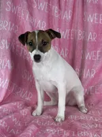 processed/9433500d-bf2f-4f40-a080-aca76ca87981/listing/dd8d41de-b00a-4ae7-93d8-41a34d128b4c/f131d657-12db-4c22-ab6e-67c4c935cc40