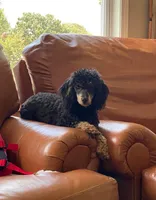 processed/943781a7-a8e2-44ad-9299-22540581b002/facility/436549a0-cbc5-4827-9103-6c0d9cfbc887