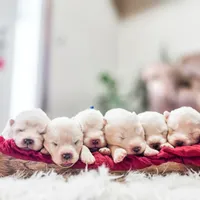 processed/943784e9-87fa-48c3-a261-490903603f8d/facility/66416f8a-b48a-4adb-899a-b1b57d1c1fac