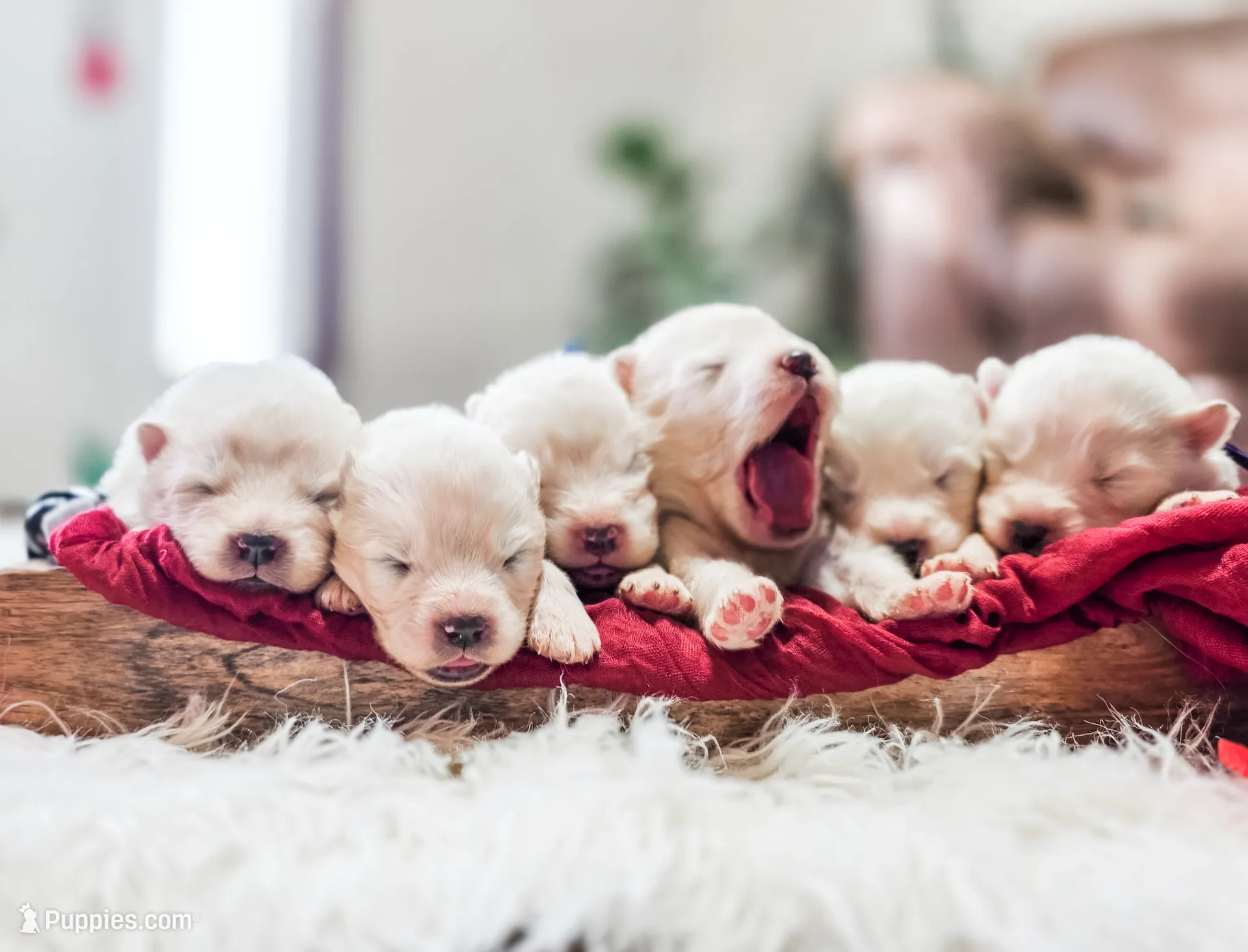 processed/943784e9-87fa-48c3-a261-490903603f8d/listing/3fc3289b-6427-4406-83b9-8fec8afae443/9e8ba4c9-c69a-4962-9492-b962fac82f90