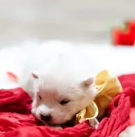 processed/943784e9-87fa-48c3-a261-490903603f8d/listing/3fc3289b-6427-4406-83b9-8fec8afae443/bb693c1d-db13-4c5f-ab43-52fbaae46758