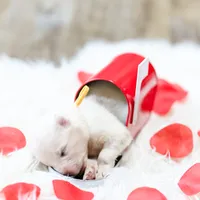 processed/943784e9-87fa-48c3-a261-490903603f8d/listing/3fc3289b-6427-4406-83b9-8fec8afae443/c3bc391b-ab0b-4f2f-a89e-50c214218d56