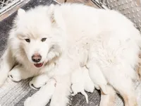 processed/943784e9-87fa-48c3-a261-490903603f8d/listing/3fc3289b-6427-4406-83b9-8fec8afae443/ddba2a0e-cbb8-4641-8ba9-072e2387f901