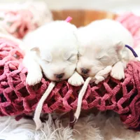 processed/943784e9-87fa-48c3-a261-490903603f8d/listing/a3fa1c59-e651-4dac-b463-4dbb4417cb42/3fdf5a8c-bb14-409c-9acb-ec3fd28c9c18