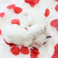 processed/943784e9-87fa-48c3-a261-490903603f8d/listing/a3fa1c59-e651-4dac-b463-4dbb4417cb42/6cf8a39a-c83c-47e7-97e1-36ea6e8c2b3c