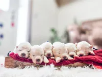 processed/943784e9-87fa-48c3-a261-490903603f8d/listing/a3fa1c59-e651-4dac-b463-4dbb4417cb42/cbe38d33-53a2-4fd4-9da1-c6512ead97ea